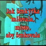 Senkyrka.avi